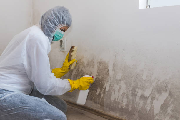 Best Crawl Space Mold Removal  in Bystrom, CA