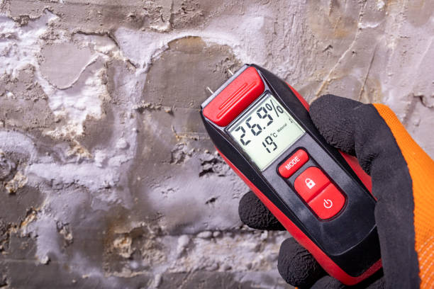 Best Residential Mold Removal  in Bystrom, CA