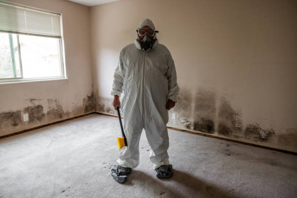 Best Best Mold Removal Companies  in Bystrom, CA